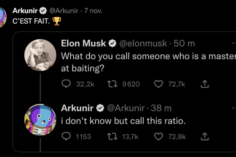 Guerre des ratios entre Arknunir et Elon Musk